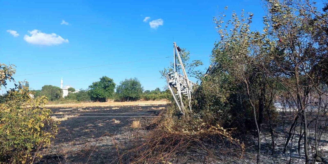 Çan’da orman yangını büyümeden söndürüldü