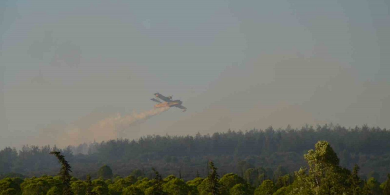 Didim’deki yangın 4,5 saat sonra kontrol altına alındı