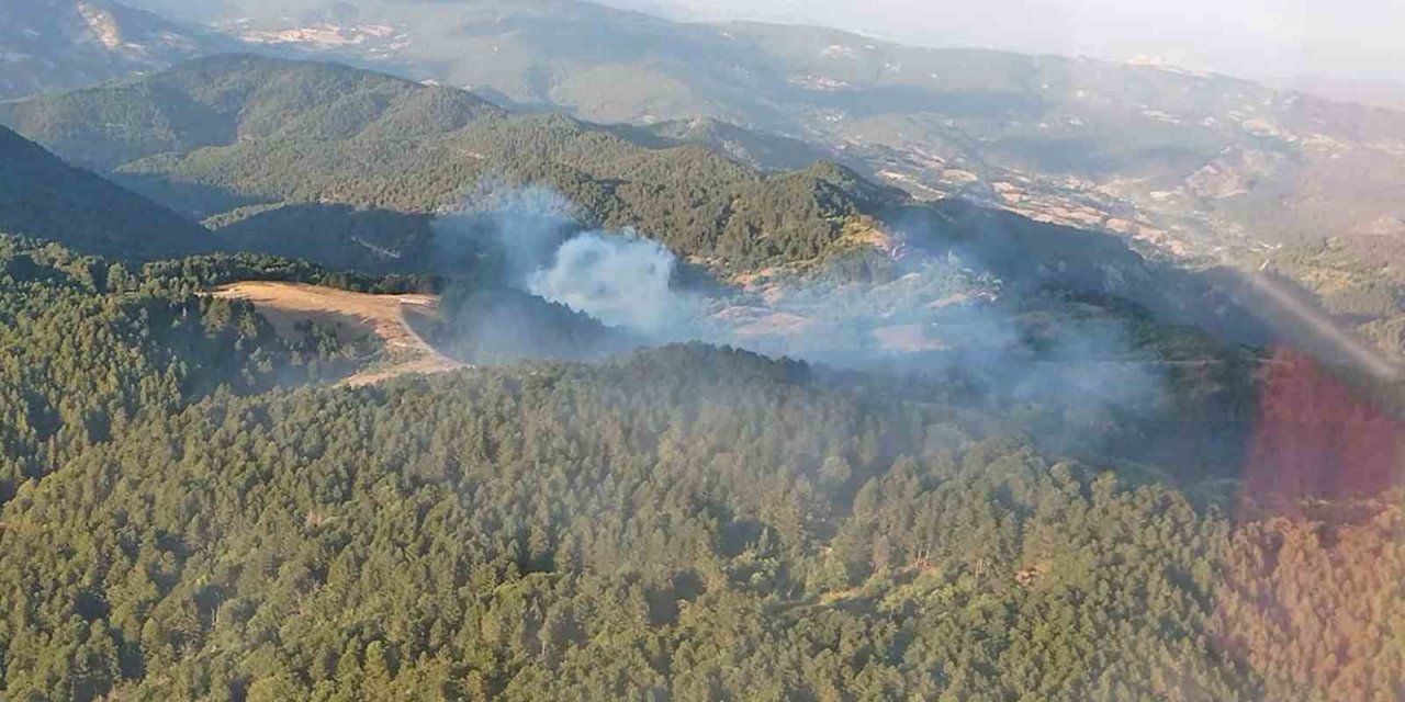 Balıkesir’de orman yangını kontrol altına alındı