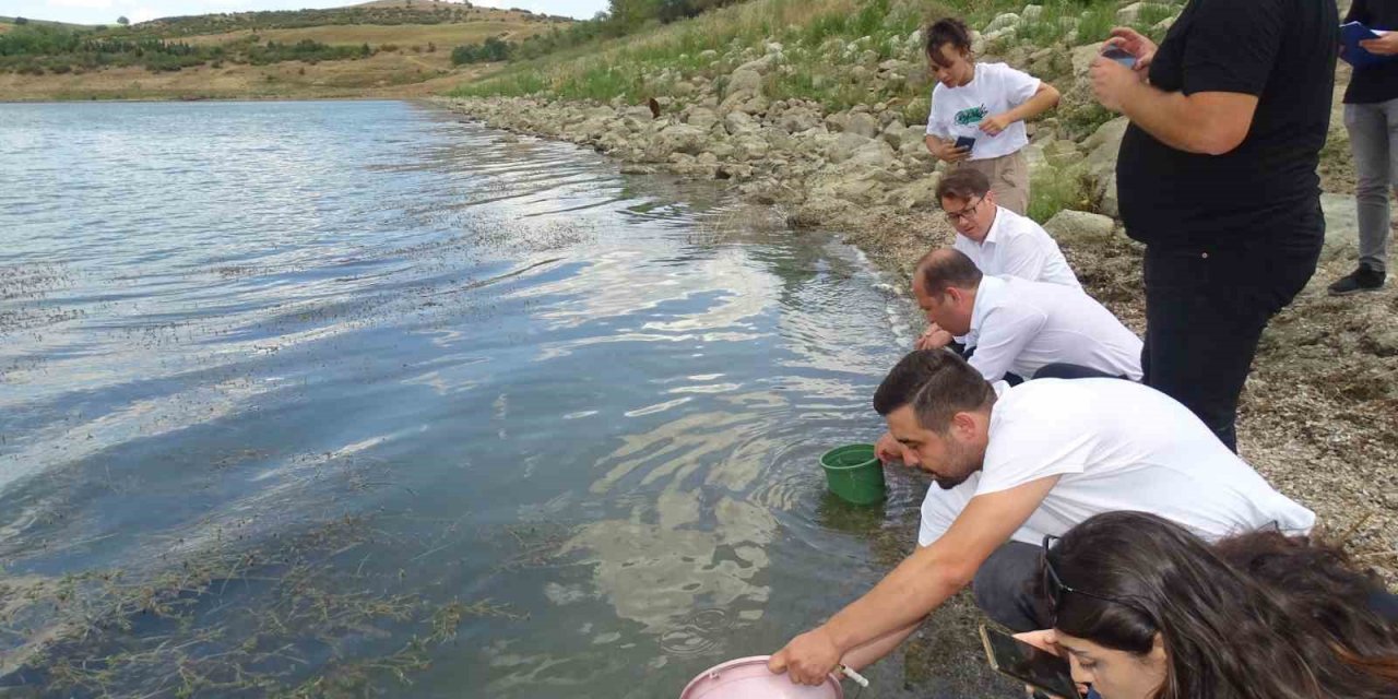 Tekirdağ’da göletlere yarım milyon sazan salındı