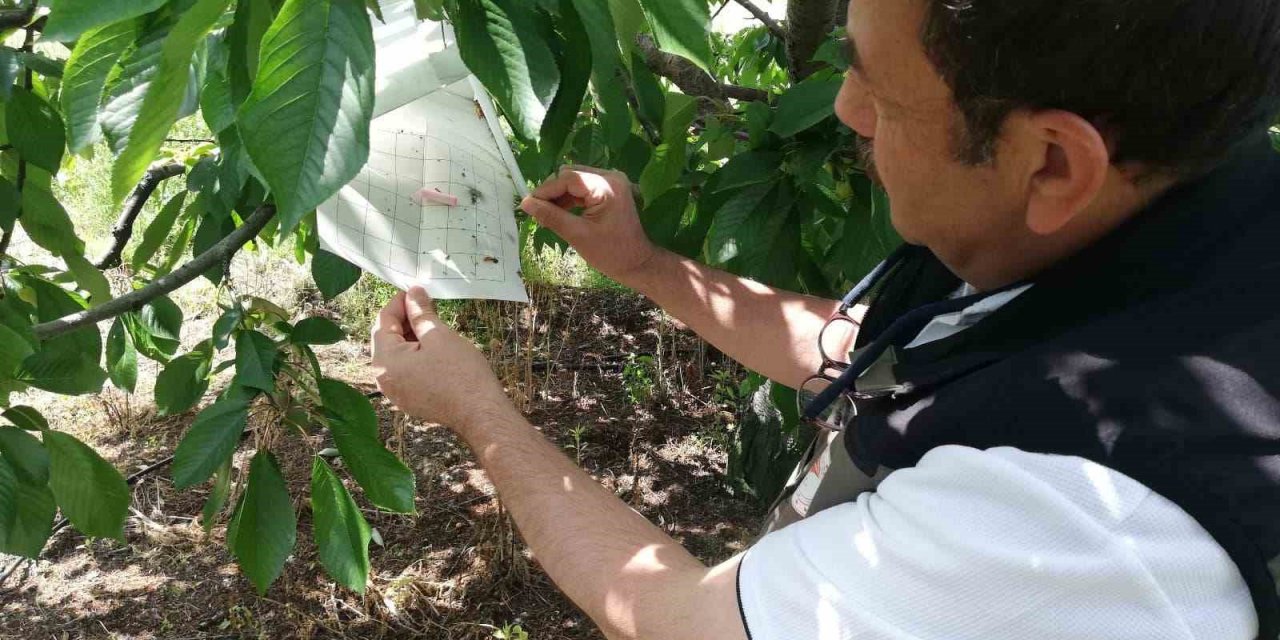 Afyonkarahisar’da ürün kontrolleri devam ediyor