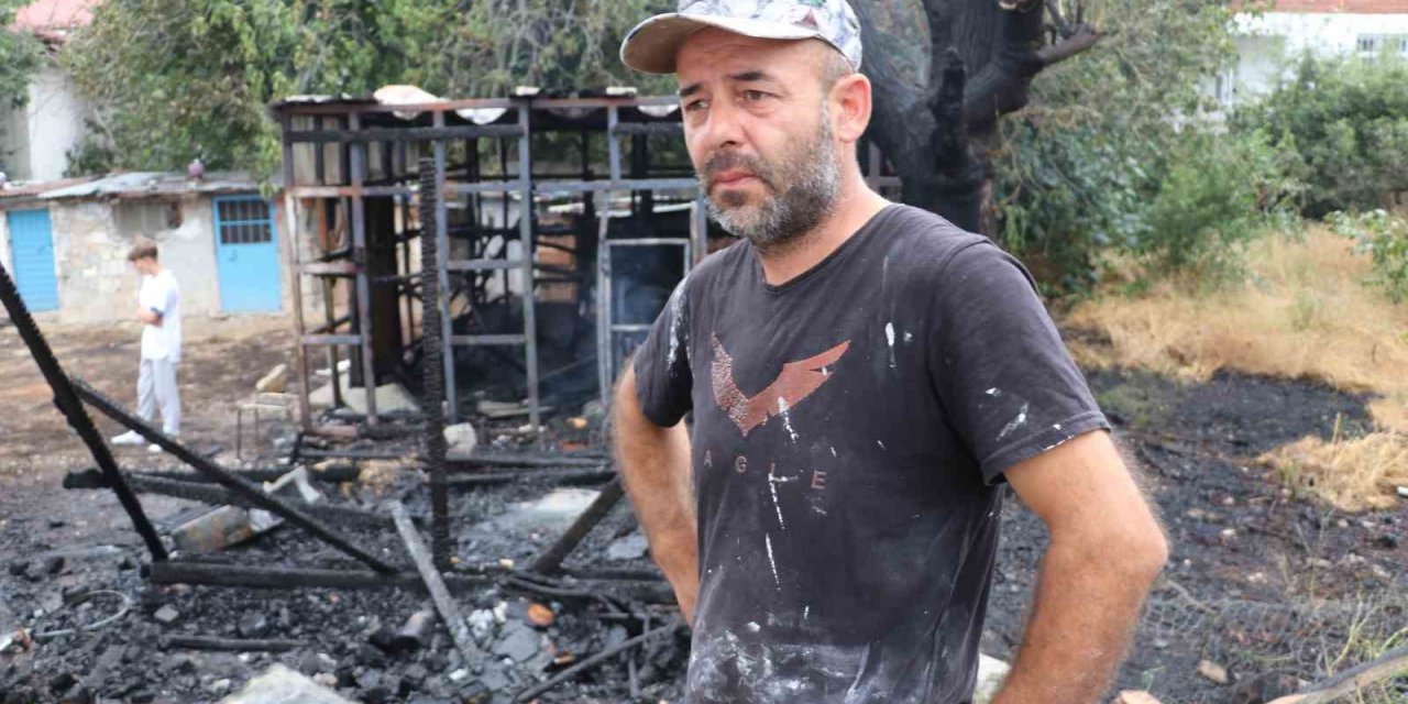 Amasya’da yangında 50 güvercin telef oldu