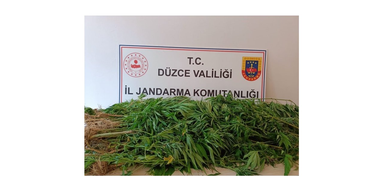 9 kilo 200 gram kubar esrar ele geçirildi