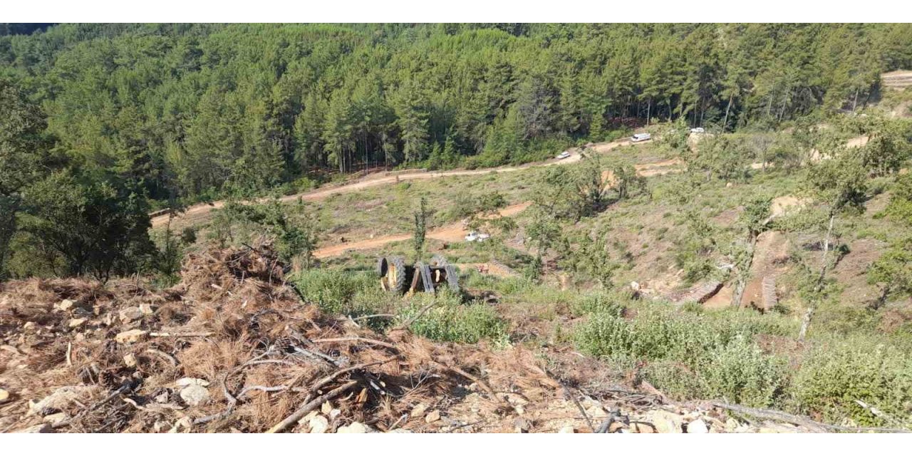 Muğla’da orman kesim alanında iş kazası: 1 ölü
