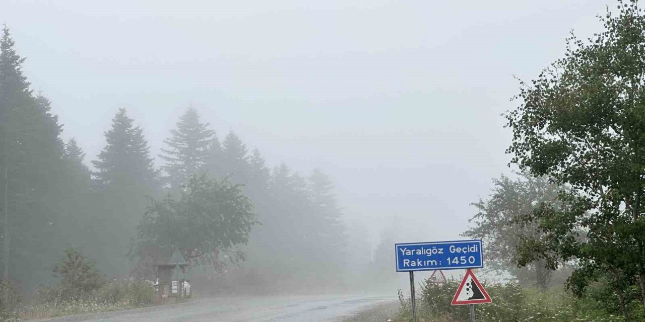 Kastamonu’nun yüksek kesimlerinde sis ve sağanak etkili oldu