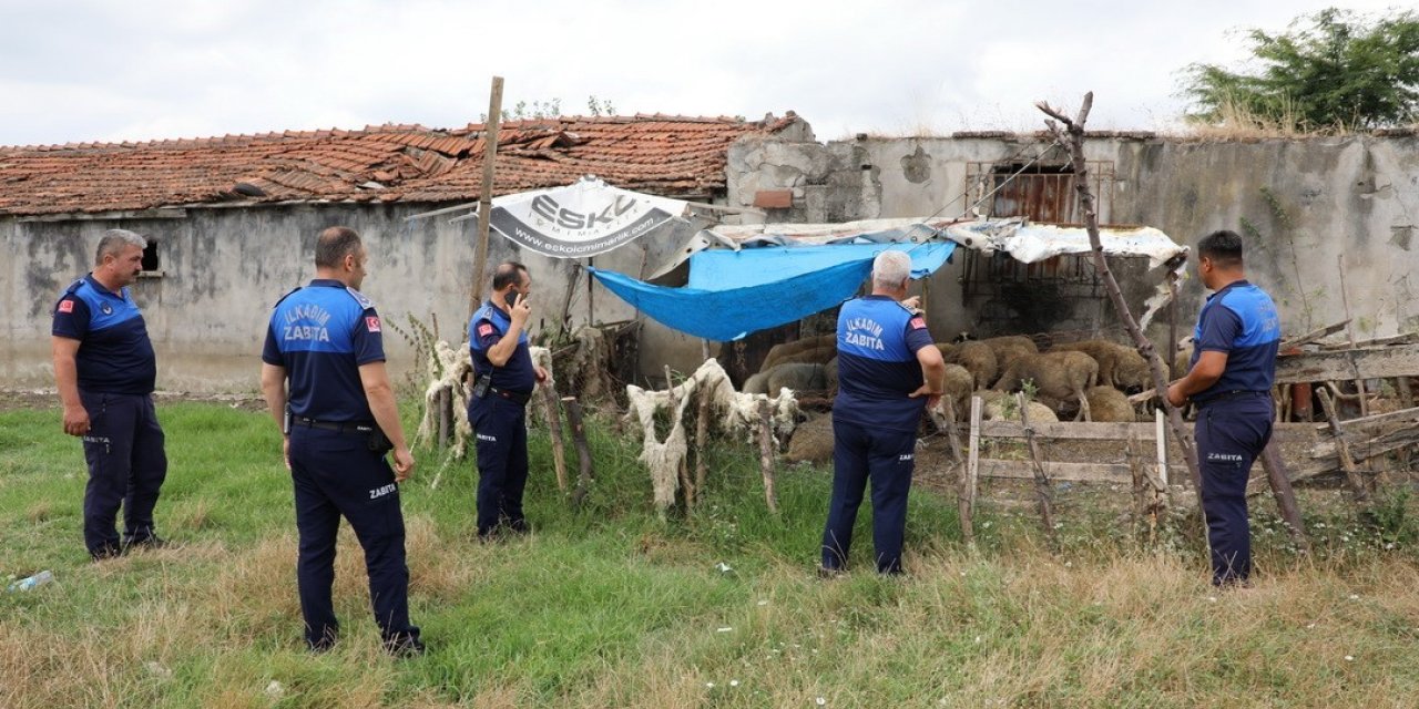 Samsun’da uyarı yapılan 12 ahırın faaliyetine son