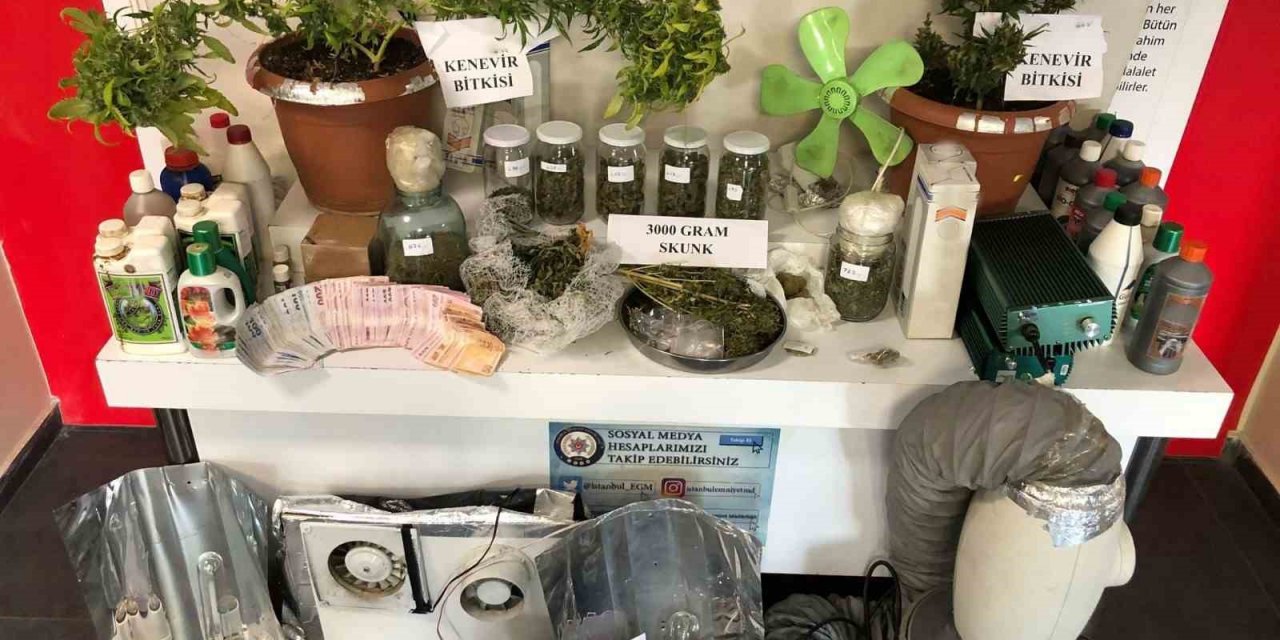 Fatih’te eve uyuşturucu baskını: 1 kişi tutuklandı