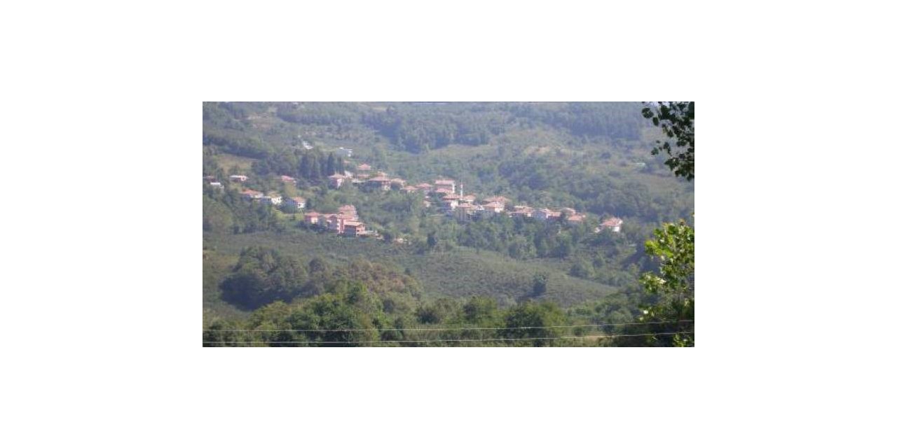 Alaplı’da bir eve giren hırsız 12 bin TL para çaldılar