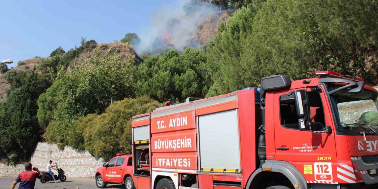 Aytepe mesire alanında yangın