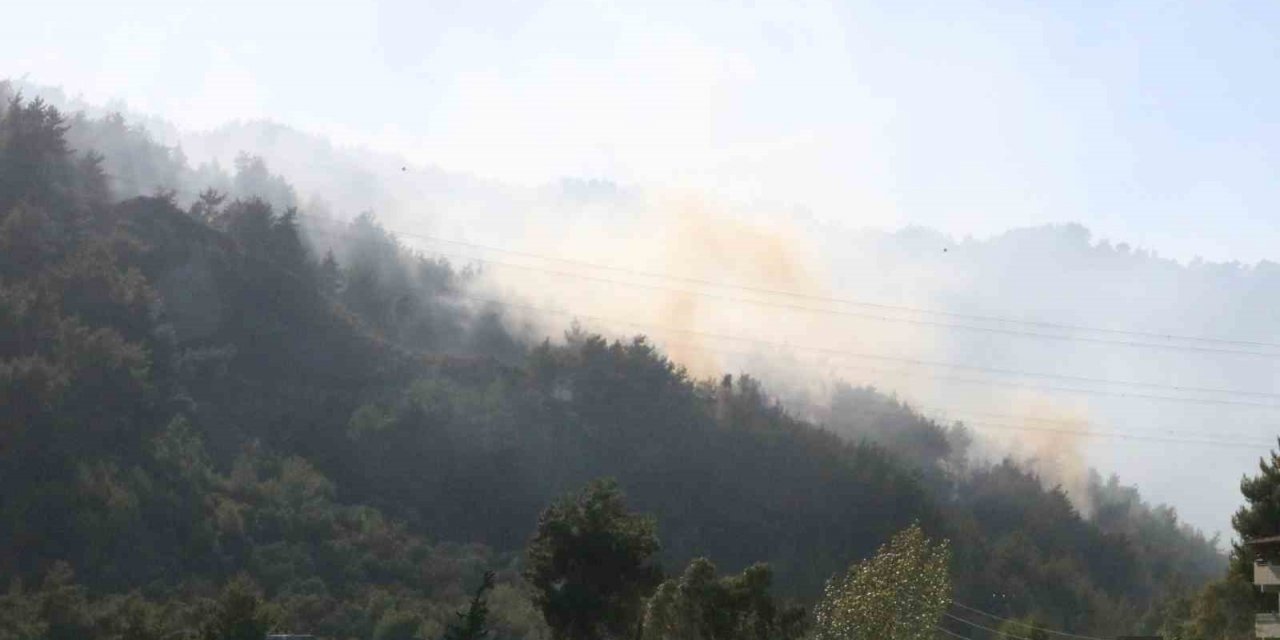 Yangına havadan ve karadan müdahale devam ediyor