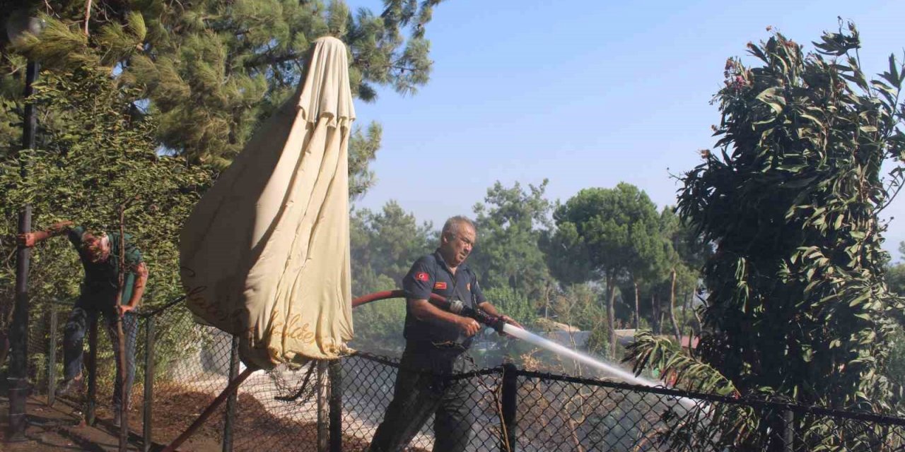 Aytepe mesire alanındaki yangın büyümeden söndürüldü