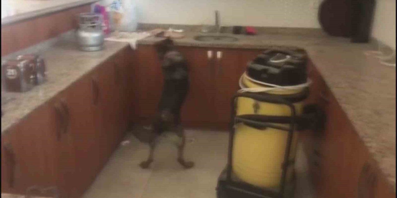 Kargo kutularından uyuşturucu çıktı