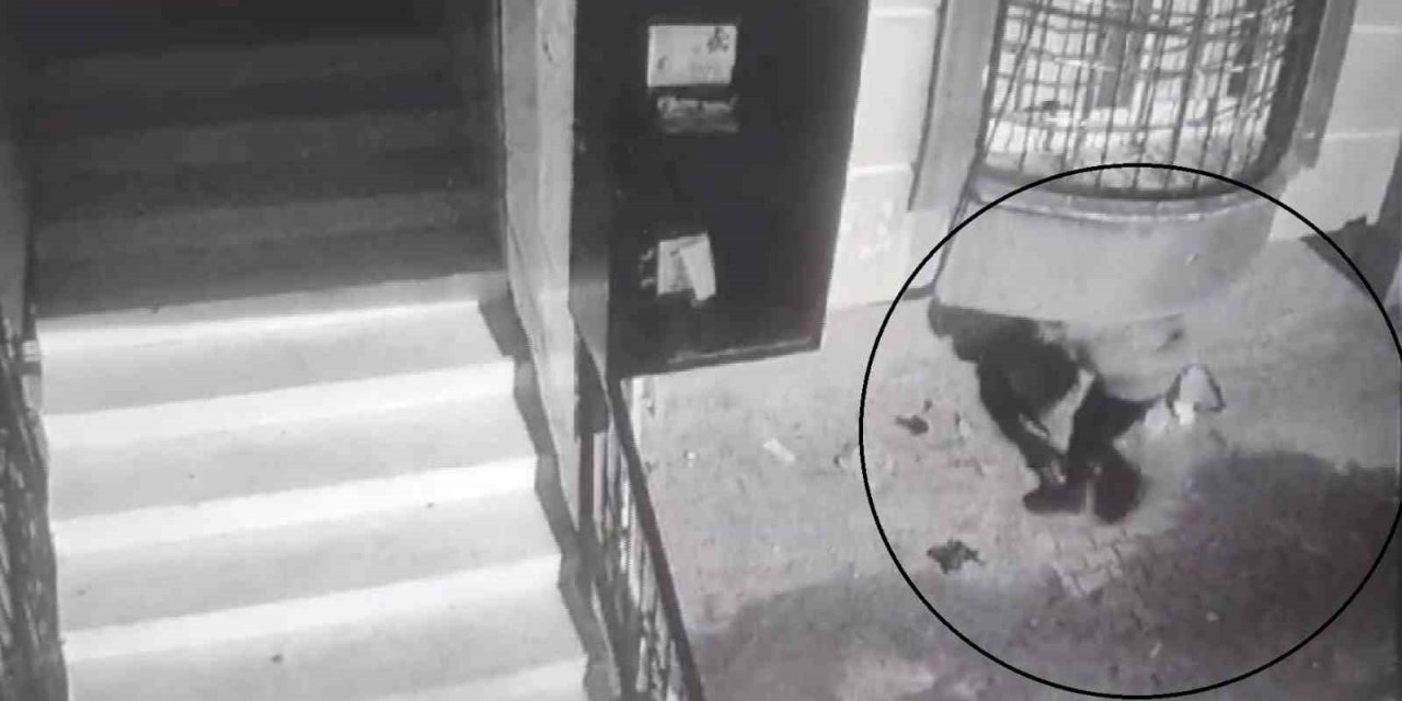Balkon altına gizlenerek gelip motosikleti çaldı, yakalanmaktan kurtulamadı
