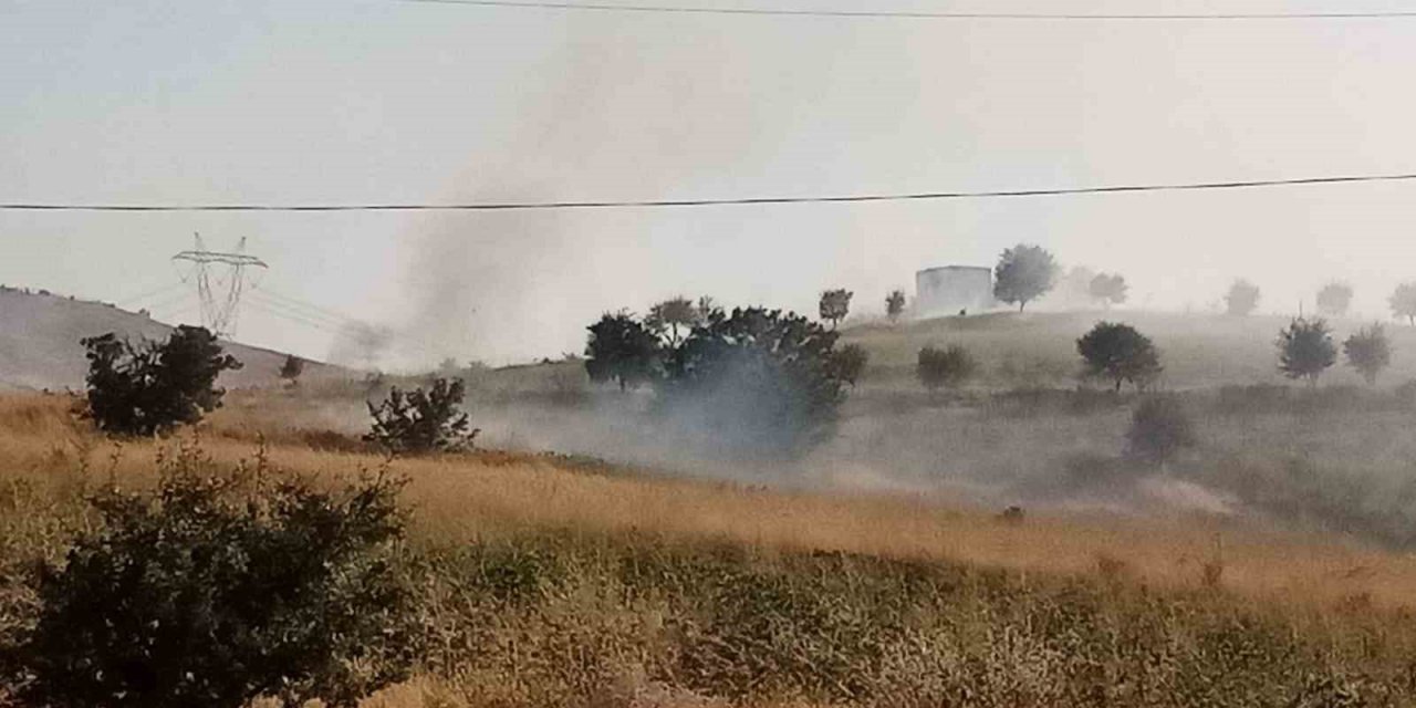 Elazığ’da ot yangını
