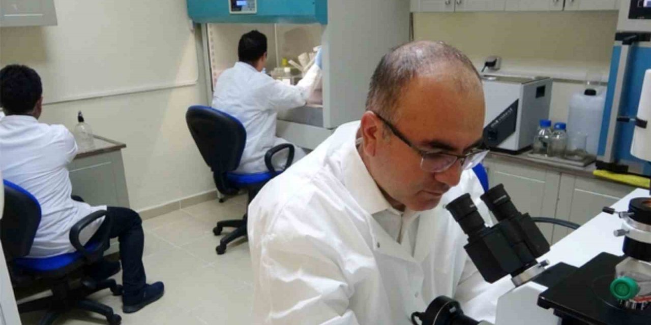 Over kanseri tedavisine umut vaat eden yeni proje kabul edildi