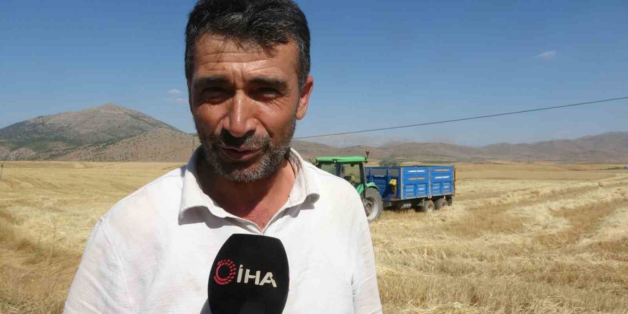 160 bin dönümde buğday hasadı, verim üreticinin yüzünü güldürdü