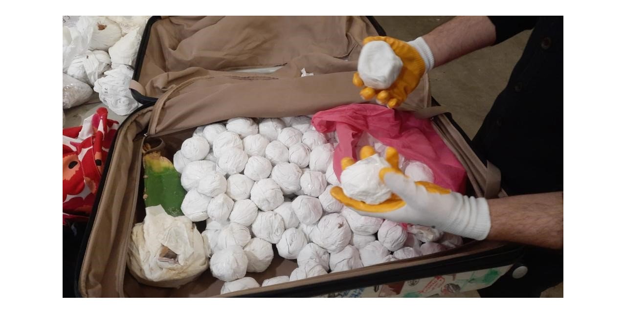 Sarp Sınır Kapısı’nda 2 bin 850 adet kaktüs ele geçirildi