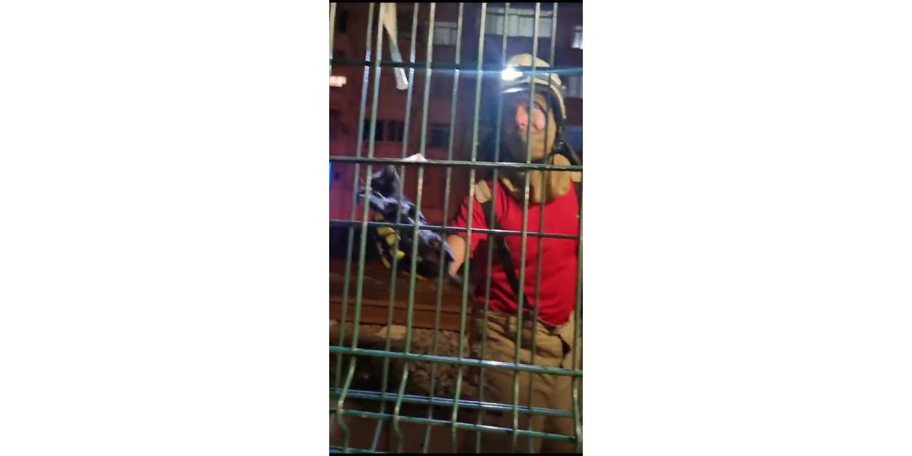 Kartal Marmaray durağının mazgallarında mahsur kalan kediyi kurtarma operasyonu