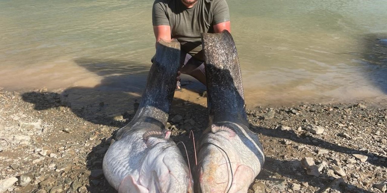 Hobi balıkçılarından olta ile 2 metrelik kedi balığı avı