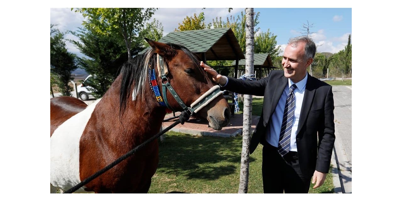 İnegöl Belediyesi barınağını ayda 400 kişi ziyaret ediyor