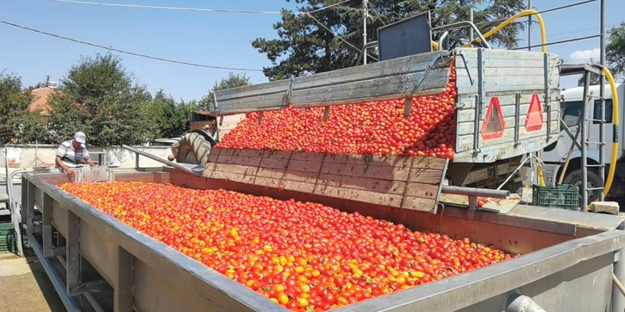 Kadınların ürettiği biber salçası Hollanda’ya ihraç edilecek