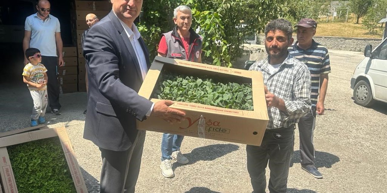 Kastamonu’da çiftçilere 80 bin fide dağıtıldı