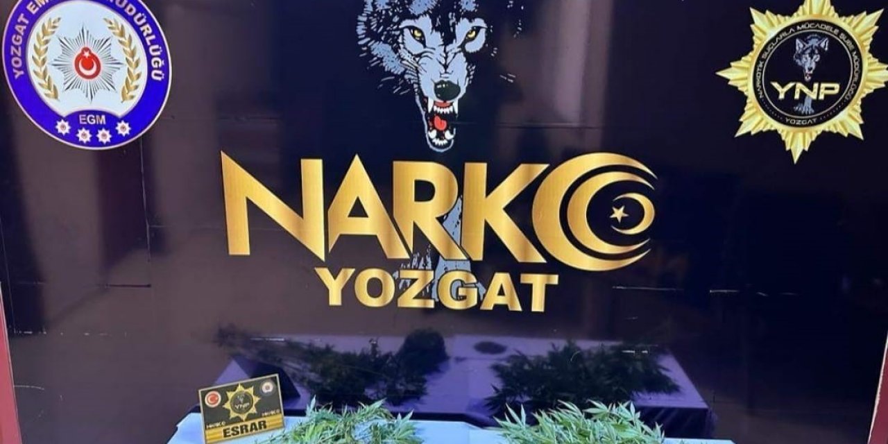 Yozgat’ta uyuşturucu operasyonu: 1 kişi tutuklu