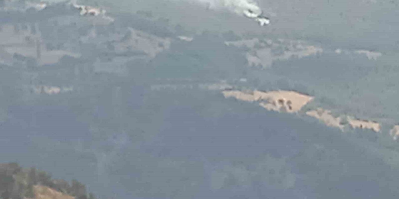 İzmir’de 2 orman yangını yaklaşık 30 dakikada kontrol altına alındı