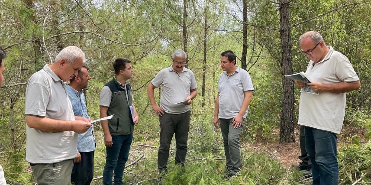 Yılmaz,“Planlı Müdahale Başarı Getirir”