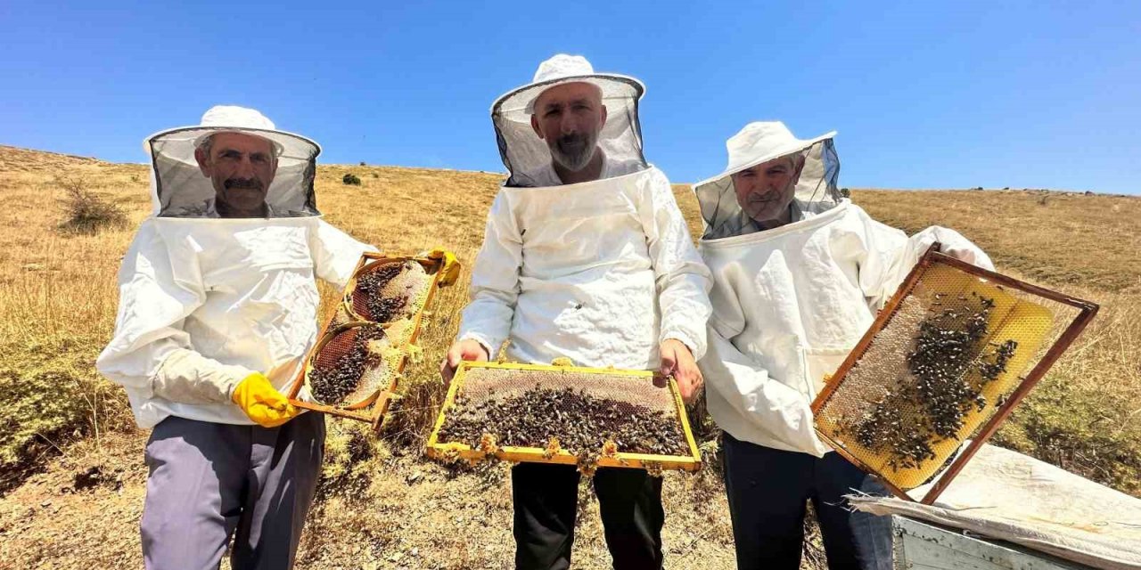 2000 rakımda tescilli geven balının hasadı başladı