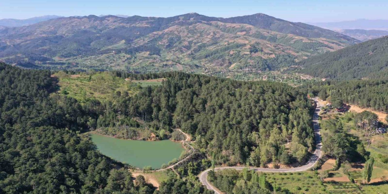 Burası Karadeniz değil Aydın