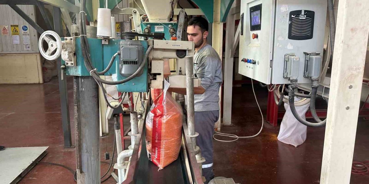 Mercimek Güneydoğu’nun ekonomisine katkı sunuyor