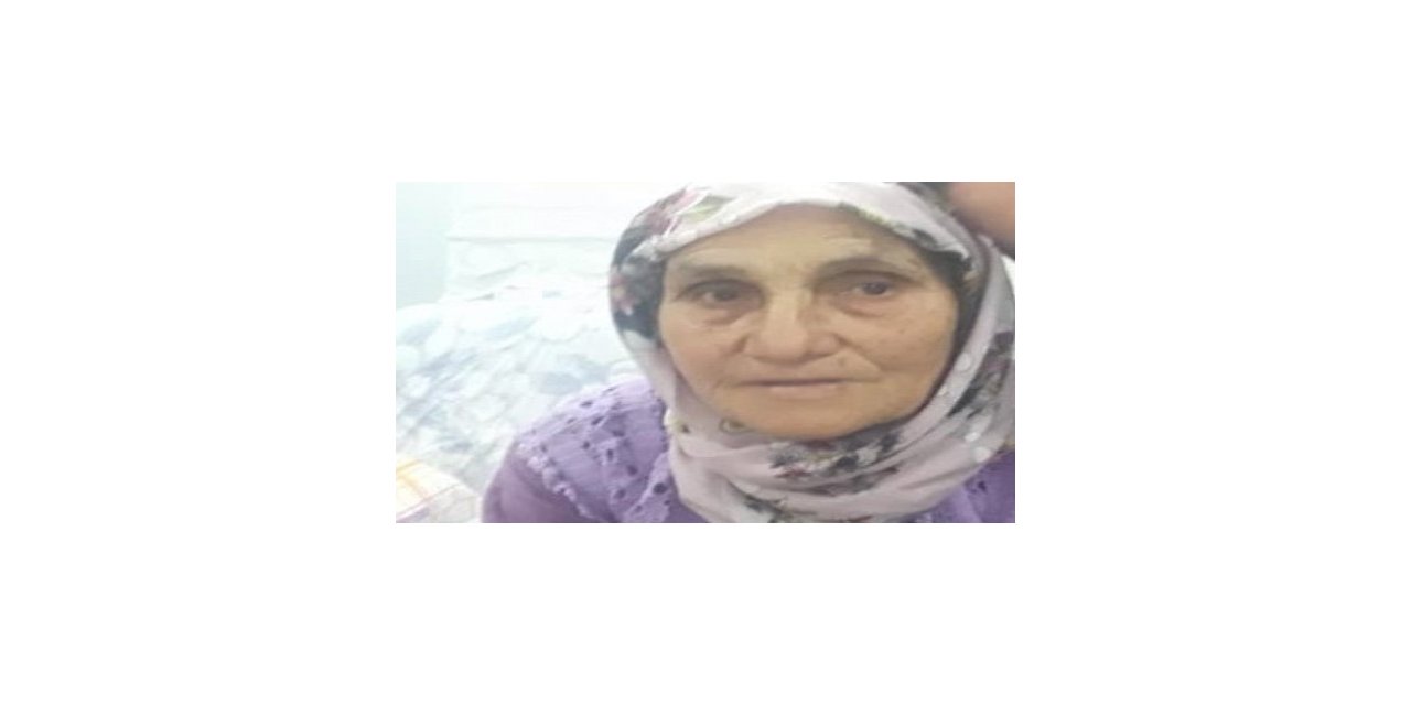 Devrilen traktördeki yaşlı kadın hayatını kaybetti