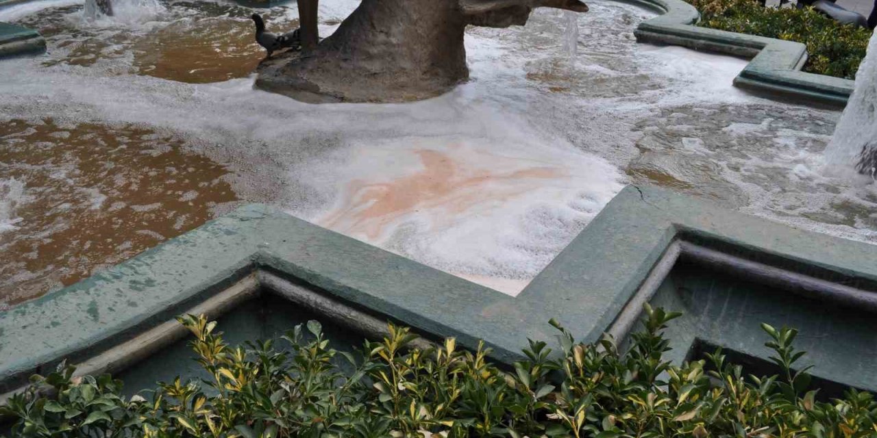 Süs havuzundaki bu kirliliğin sebebi merak konusu oldu