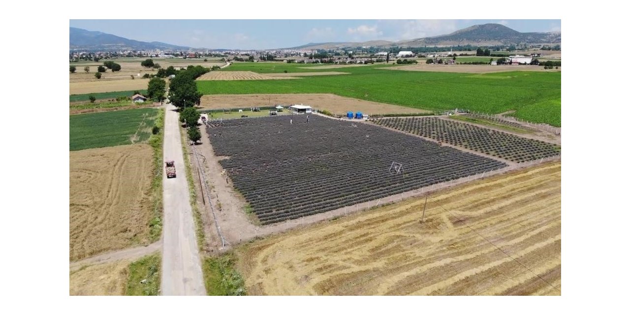 Samsun’un yüzde 38,92’sinde tarım yapılıyor
