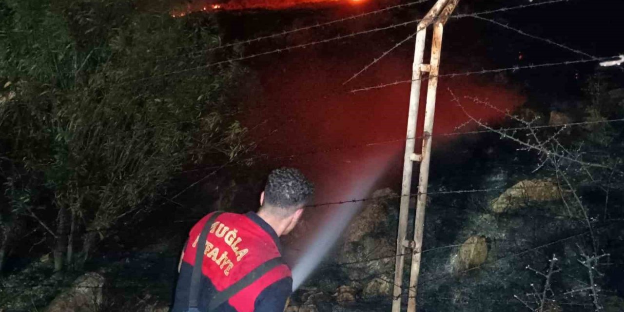 Bodrum’da alevler geceyi aydınlattı