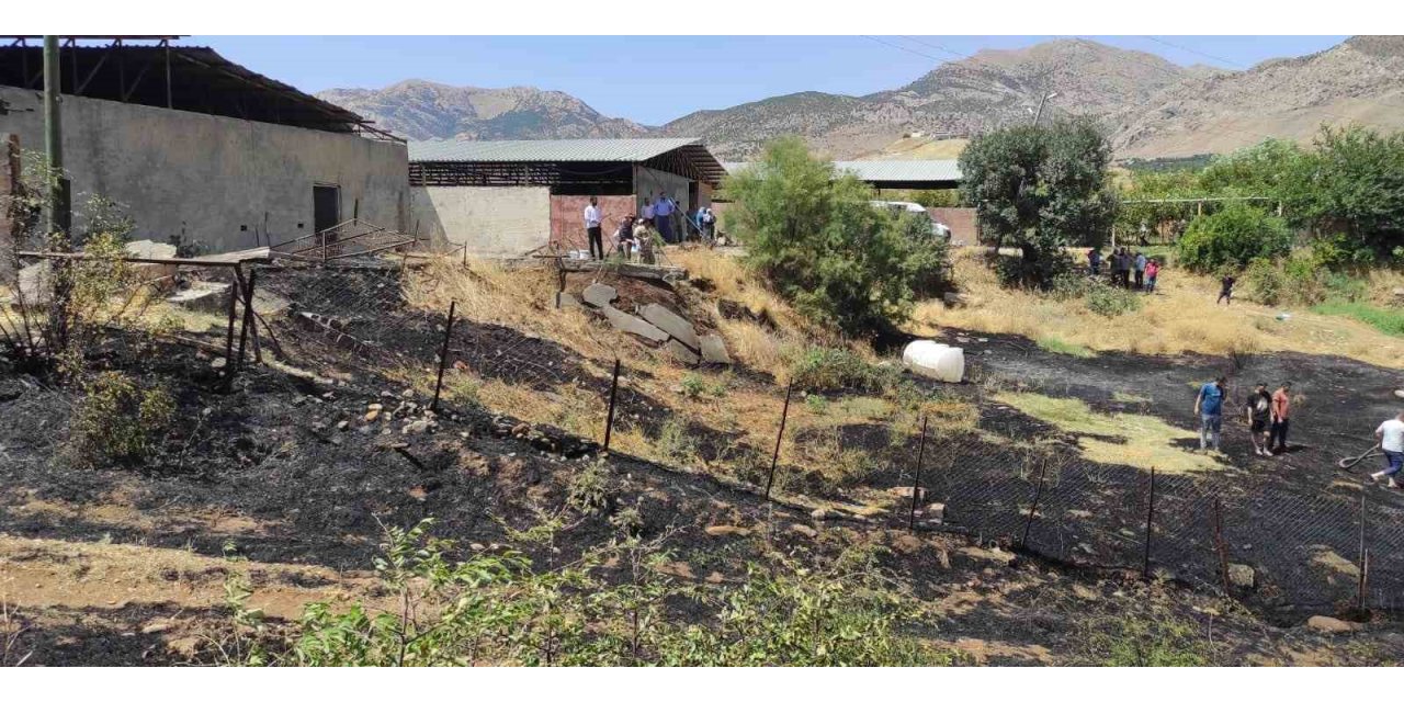 Sason’da başlayan yangın evlere metreler kala söndürüldü