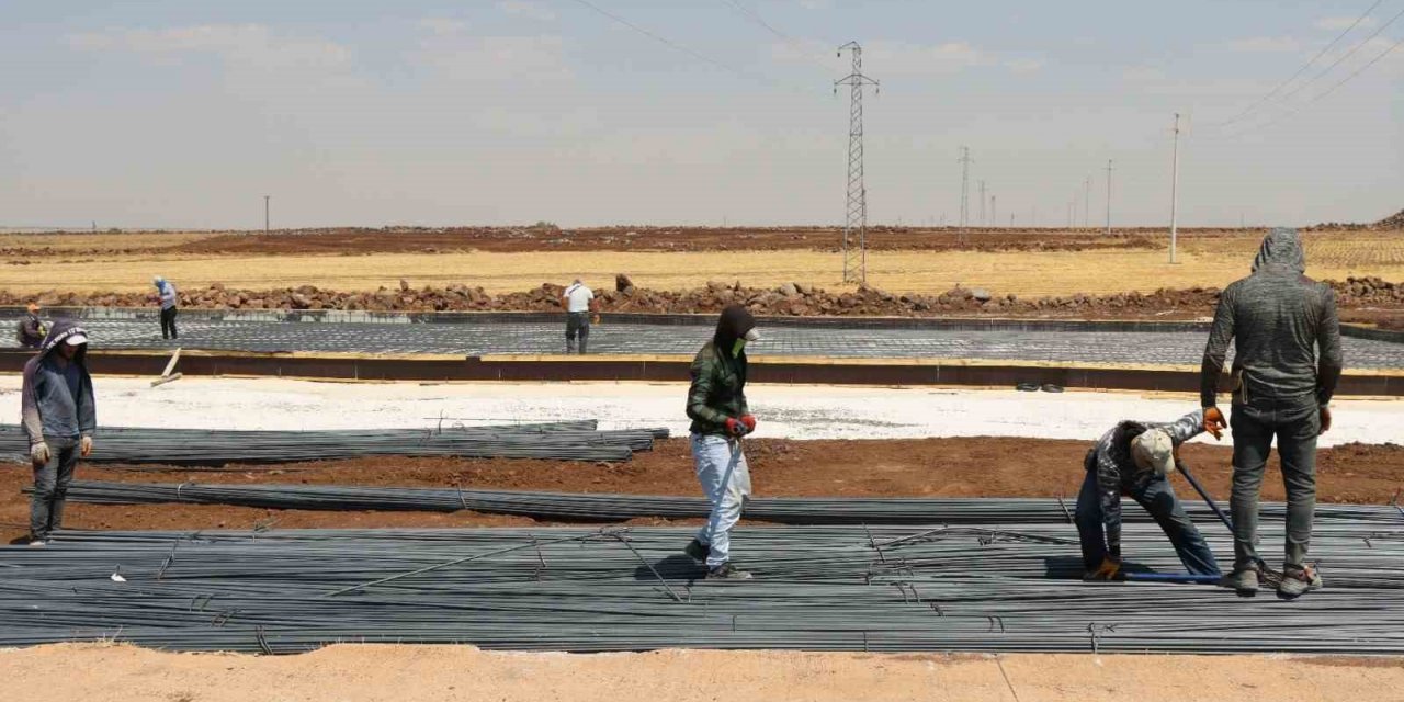 Büyükşehir’den Viranşehir’e modern mezbaha