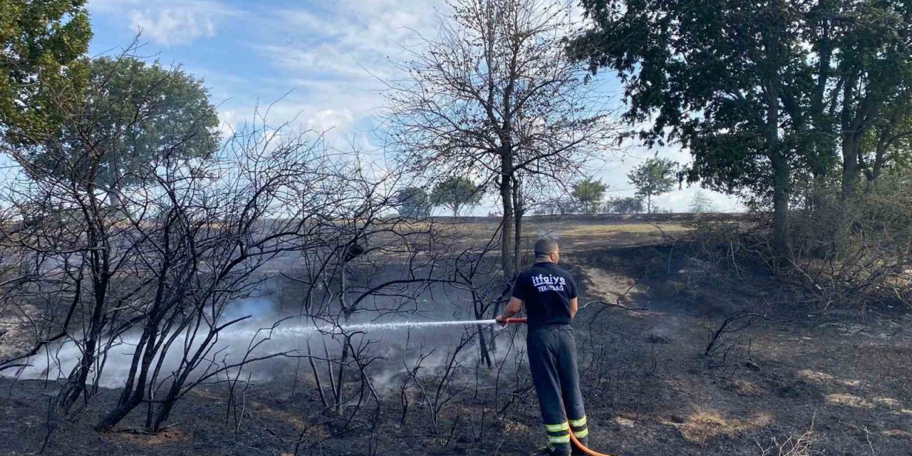Bahçe şöminesinde çıkan yangın çayırlık alanı küle çevirdi