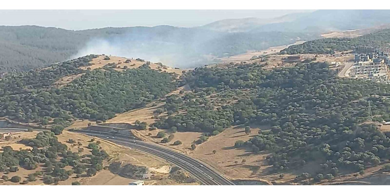 Aliağa’da makilik yangını kontrol altına alındı