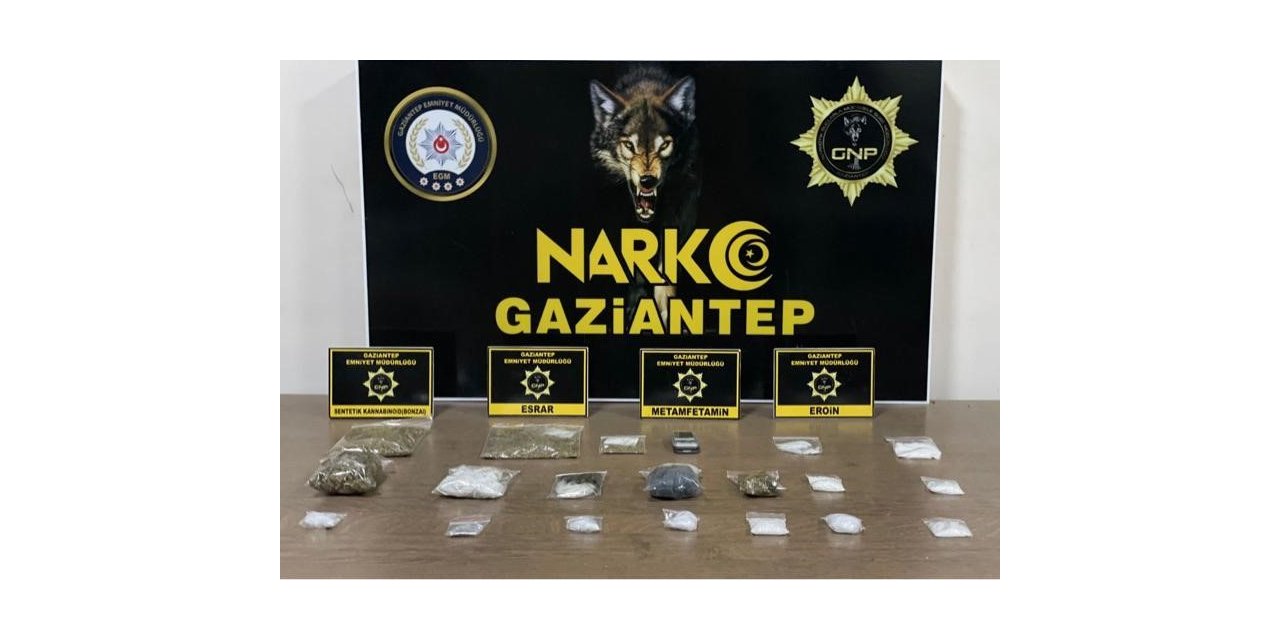 Gaziantep’te 25 kök kenevir ele geçirildi