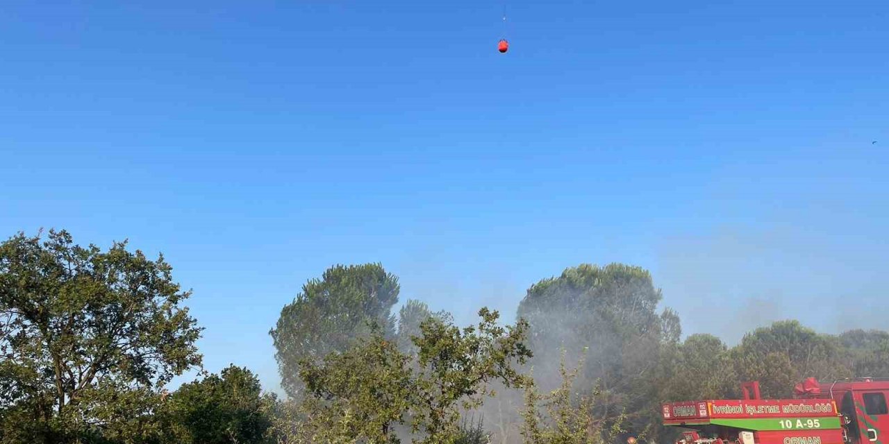 Balıkesir’de ormanlık alan yangını söndürüldü