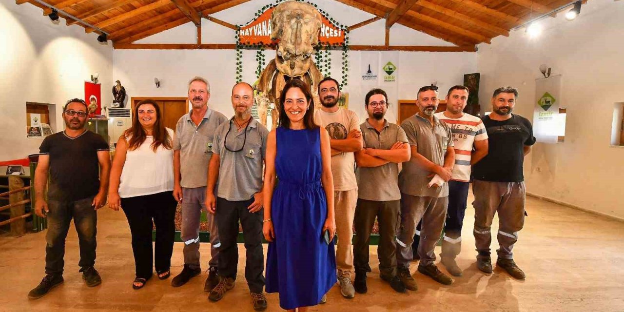 İzmir’in unutulmaz fili Pak Bahadır’ın iskeleti ziyaretçileri bekliyor