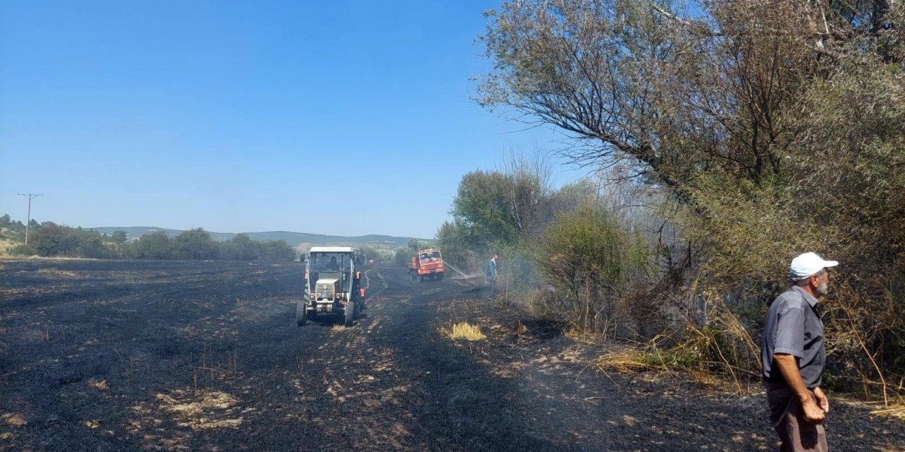 Tarla yangını ormana sıçramadan söndürüldü