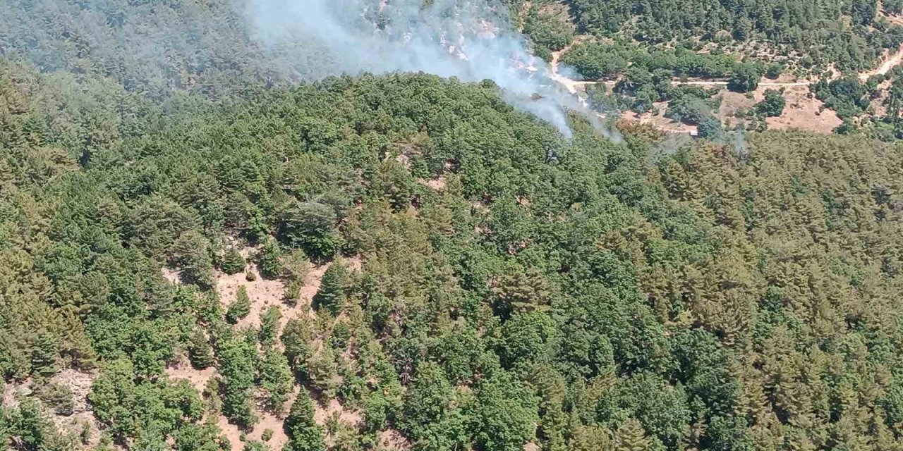 Hatay’da orman yangını kontrol altına alındı