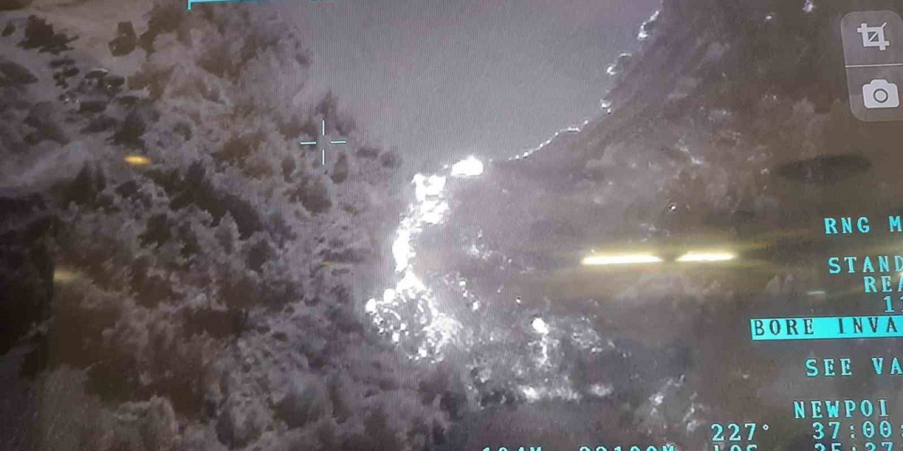 Anız yangını ağaçlık alana sıçradı