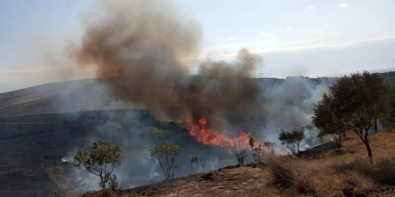 Avşa Adasında 2 günde 2 yangın çıktı