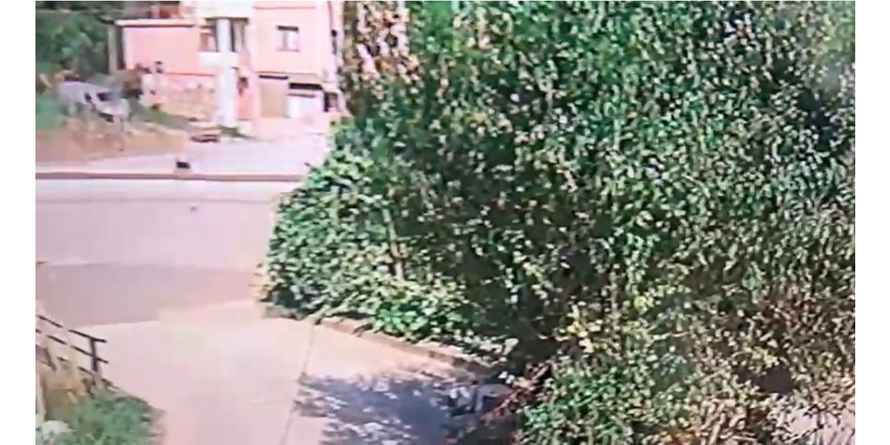 Motosikletle patpatın çarpıştığı kaza kamerada