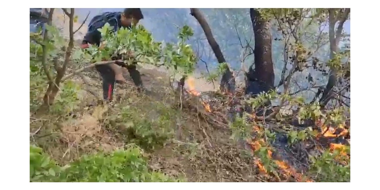 Hakkari’deki orman yangını kısmen kontrol altına alındı