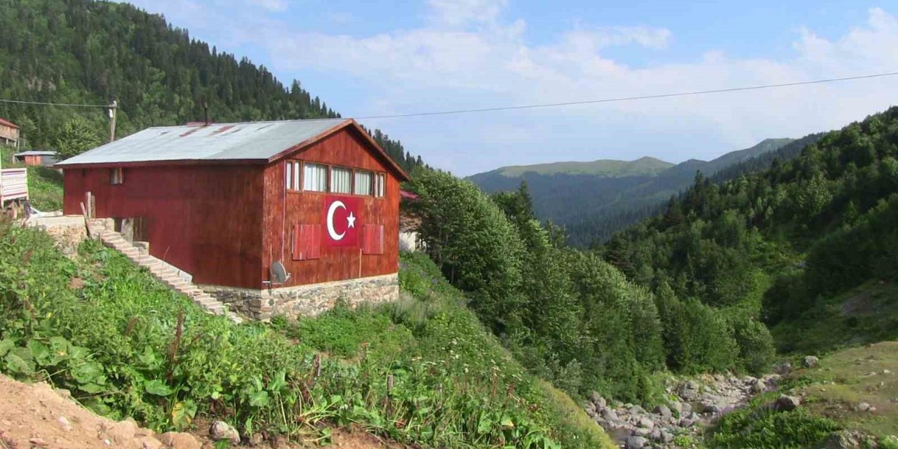 Yayla şenliklerinde Kafkas arı ırkı ve ürünleri tanıtıldı